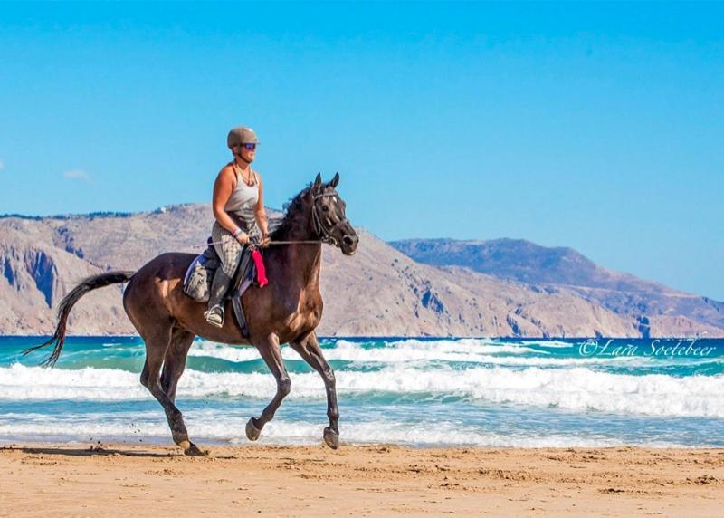 Rethymno Mare & Water Park Hotel Skaleta Bagian luar foto